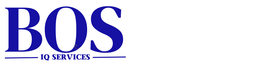 Logo 1